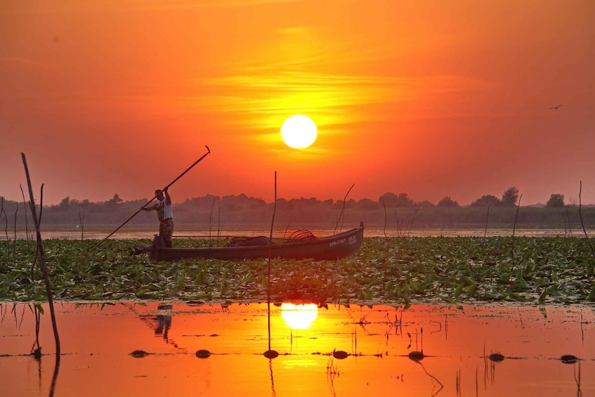Picture 12 for Activity Tulcea: Danube Delta Slow Boat Tour with Lunch 5