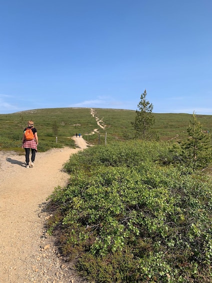 A person walking on a dirt path in a grassy area with sparse trees. 2