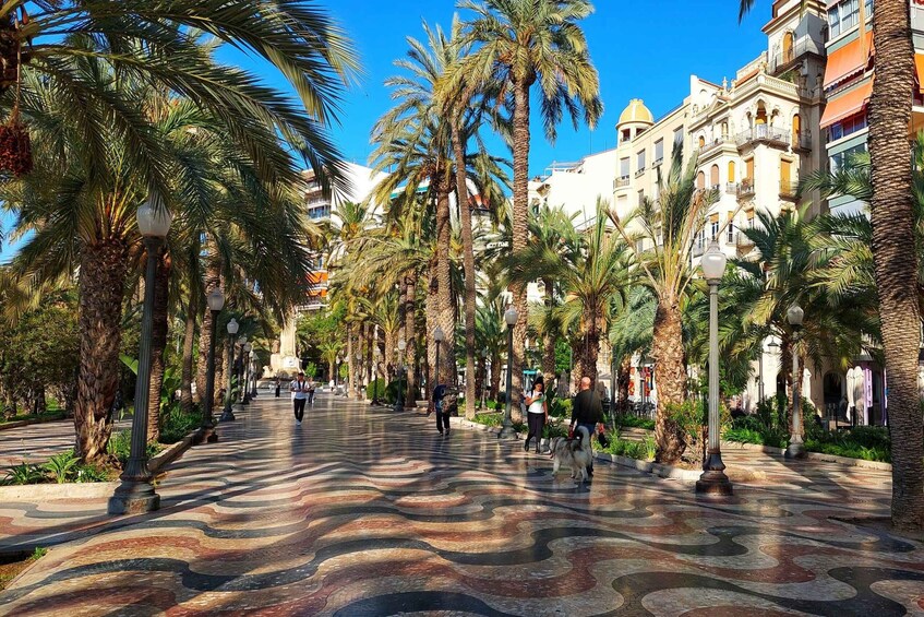 A wide, tree-lined avenue with palm trees and patterned pavement. 4