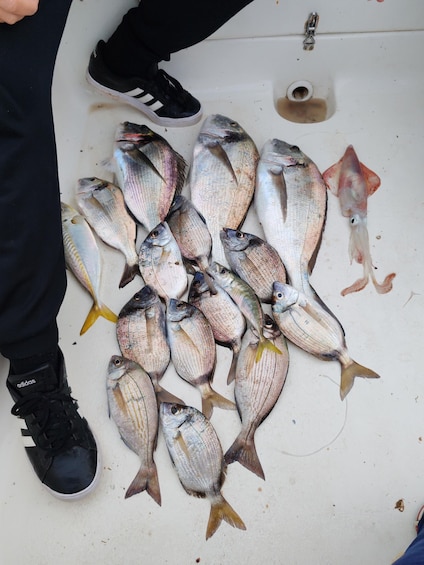 A collection of fish on a white surface with a person's black shoes and black pants visible. 5