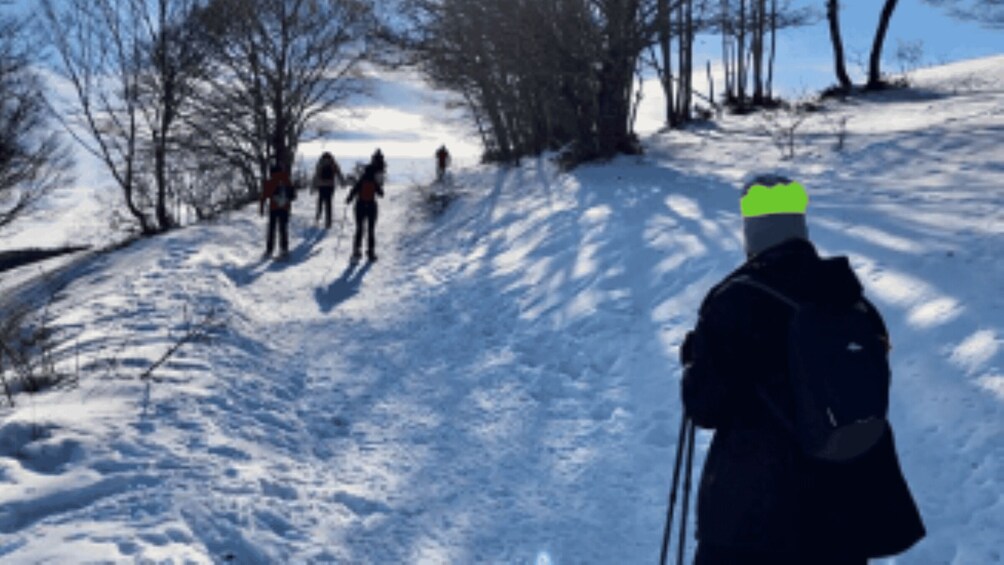 A snowy path with people walking, trees, and a hiker with a backpack. 2
