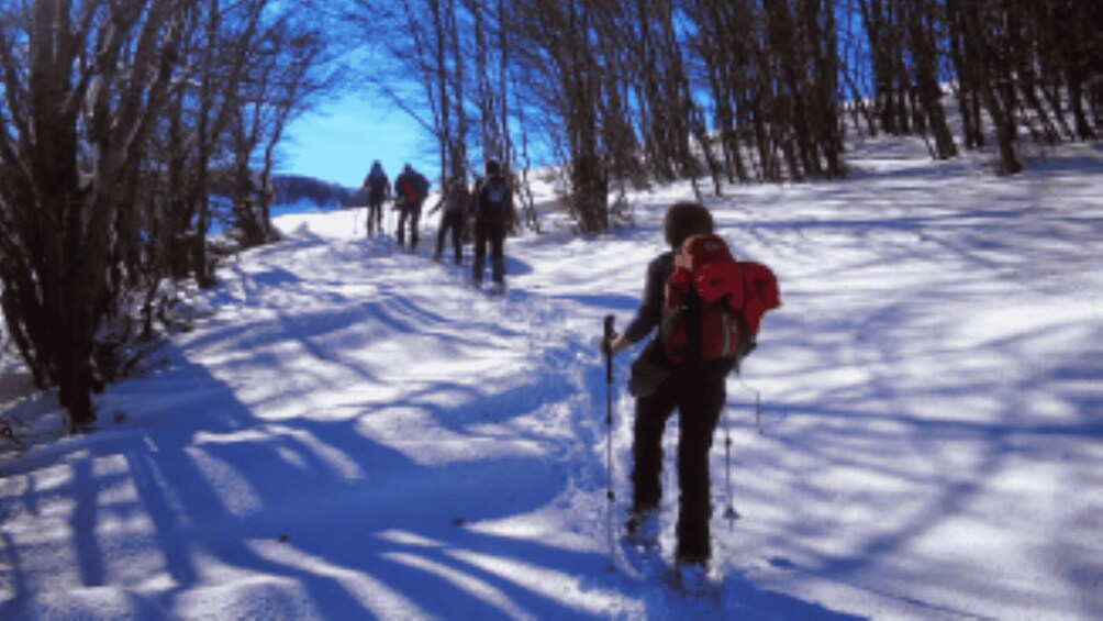 A snowy path with people skiing. 3