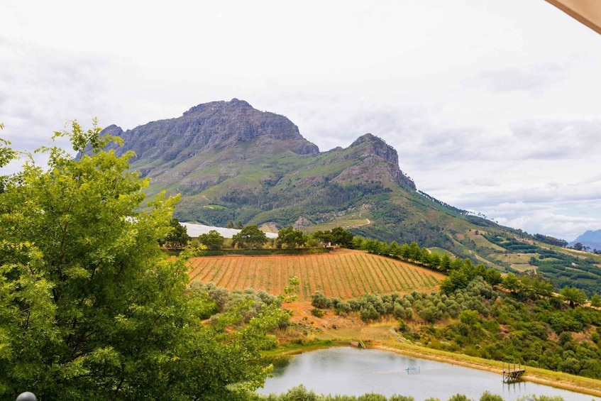 A mountainous landscape with terraced fields and a body of water. 4