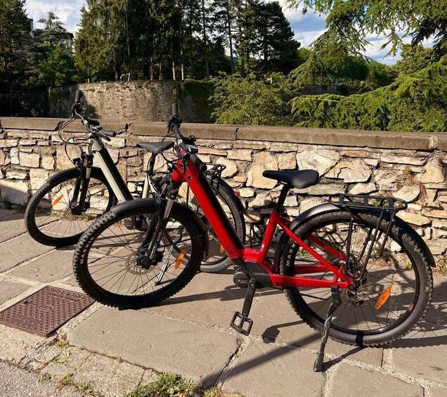 Picture 4 for Activity Bergamo and Città Alta: E-bike Rental 5
