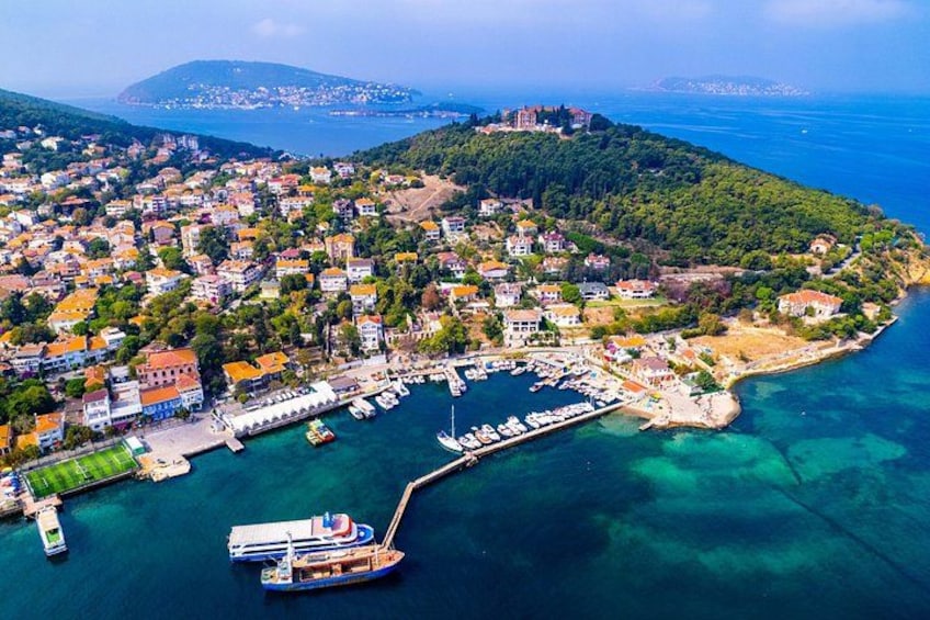 An aerial view of a coastal town with a marina, houses, and a hilly landscape. 4