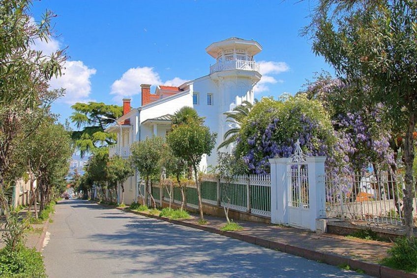 A tree-lined street with white houses, a white fence, and purple flowers. 3