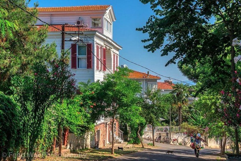 A street with a white building, trees, and a person riding a bicycle. 5