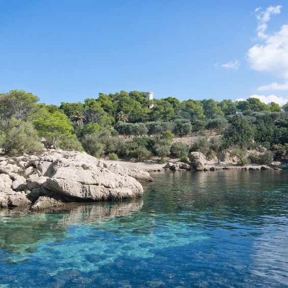 Picture 2 for Activity Mallorca: Boat Transfer between Port Andratx and Sant Elm 2
