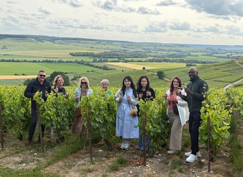 A group of people standing in a vineyard with rows of grapevines. 1