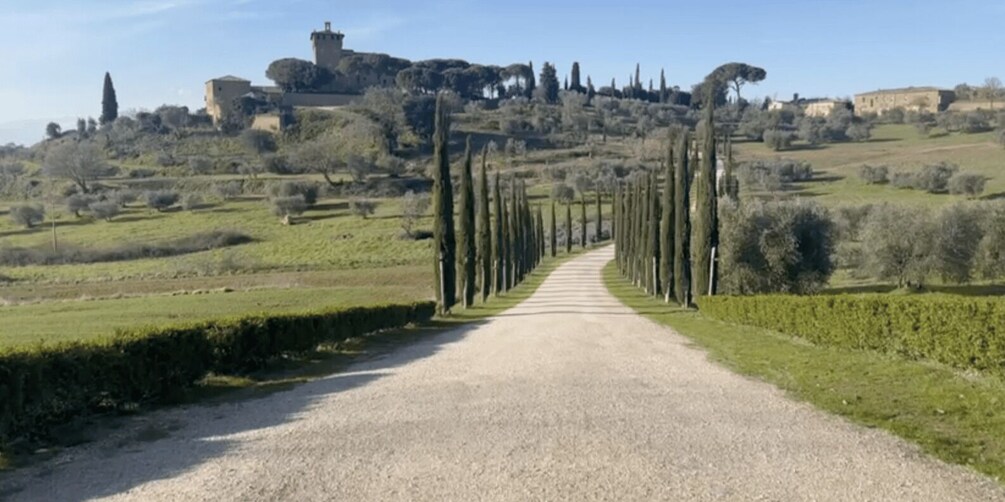 A gravel path leading to a historic building on a hill, surrounded by neatly trimmed hedges and cypress trees. 3