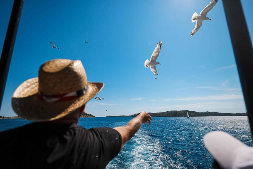 A person wearing a straw hat pointing towards the sea, with seagulls flying in the sky and a sailboat in the distance. 4