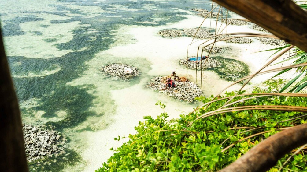 Vista despejada de una playa con rocas y agua cristalina. 3