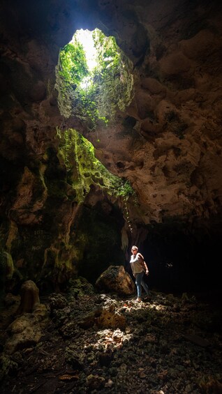 Una persona de pie en una cueva con una planta verde grande e iluminada que crece desde el techo. 4