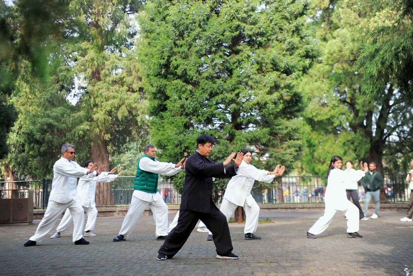 A group of people practicing martial arts in an outdoor setting with trees and a paved area. 3