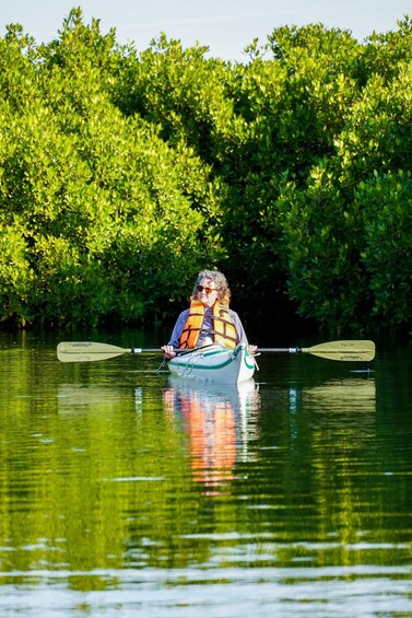Picture 15 for Activity Sea Kayak Tour - Mangrove Safari 5