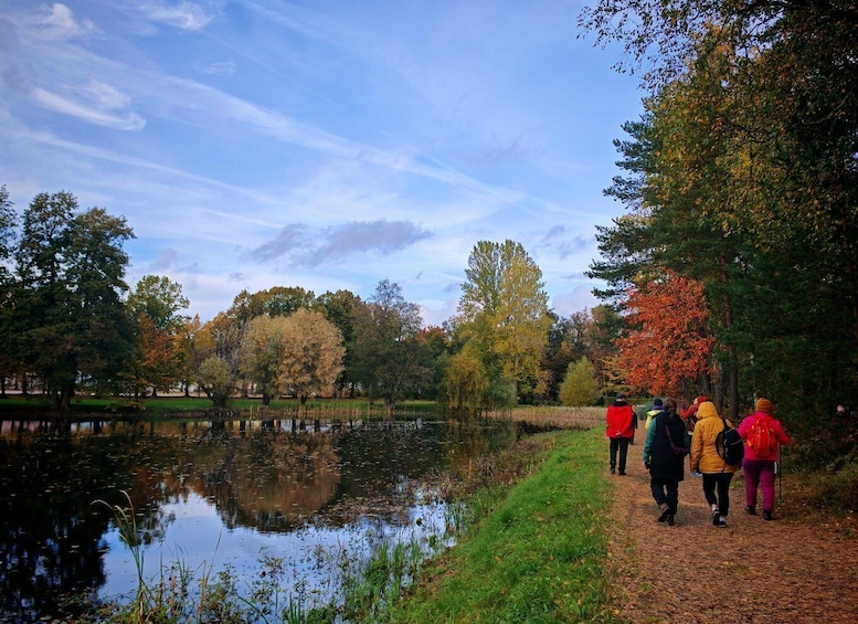 Private Forest Mind Tour in Tampere 1