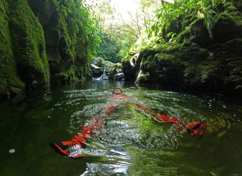 A person swimming in a forested area with moss-covered rocks and a waterfall in the background. 4