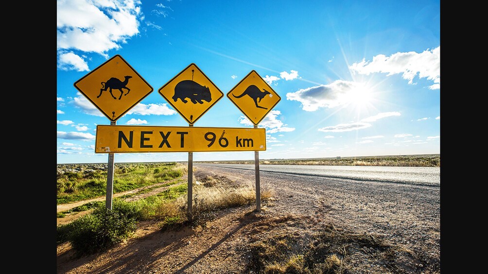 Tiemerkki varoittaa kamelien, wombattien ja kenguruiden esiintymisestä seuraavien 96 kilometrin aikana. 2