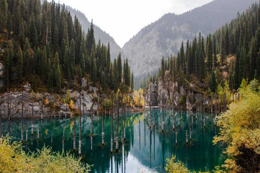 Picture 6 for Activity Almaty Nature Escape: Charyn Canyon & Kolsai–Kaindy Lakes 3