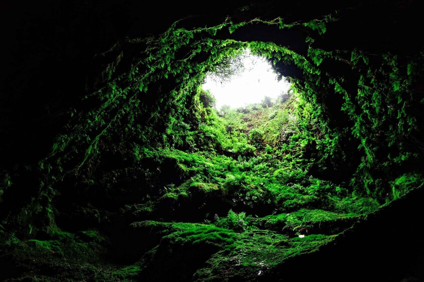 Picture 6 for Activity Full Day - Best of Terceira Island 2