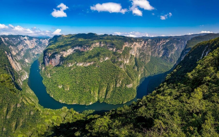 A deep canyon with a river running through it, surrounded by dense green forest. 4