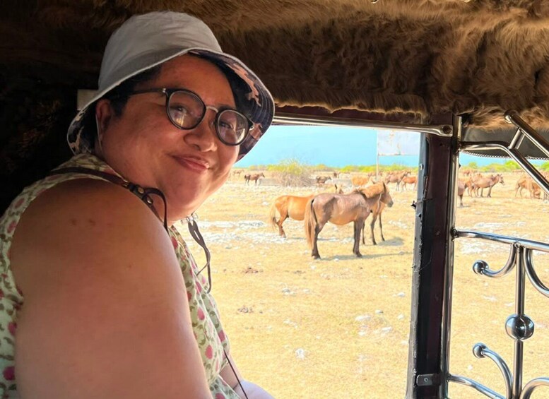 A person in a hat and floral top, looking out from a vehicle at a herd of horses grazing in a field. 5