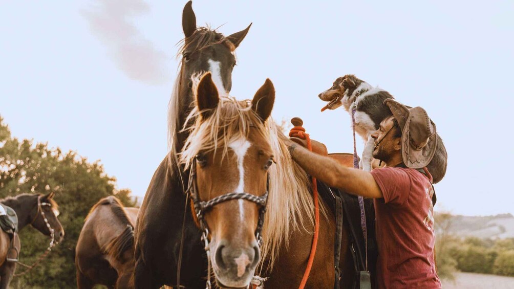 Picture 1 for Activity Urbino: 2-hour horseback ride in the Furlo Nature Reserve 5