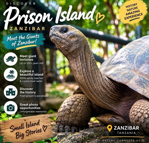 A tortoise on a small island with text highlighting features like giant tortoises, beautiful beaches, and historical significance. 1