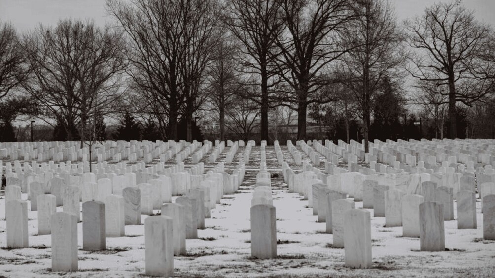 A cemetery with rows of headstones and leafless trees. 4
