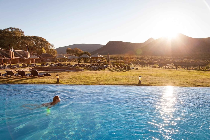 Picture 5 for Activity Cape Town: Aquila Safari Game Drive with Lunch and Wine 3