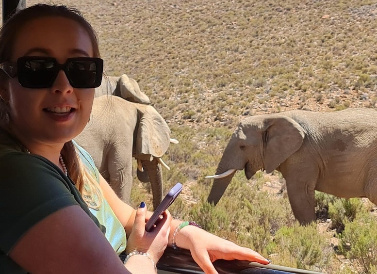 A person sitting with a smartphone, an elephant, and another elephant in a natural, rocky landscape. 2