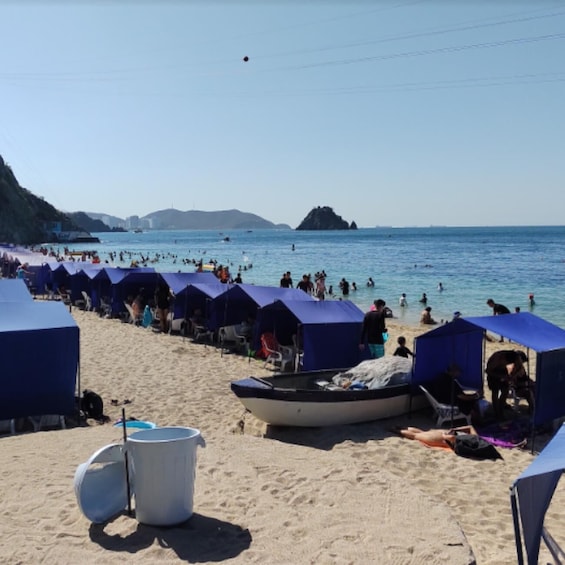 A beach with tents and a boat on the sand. 5