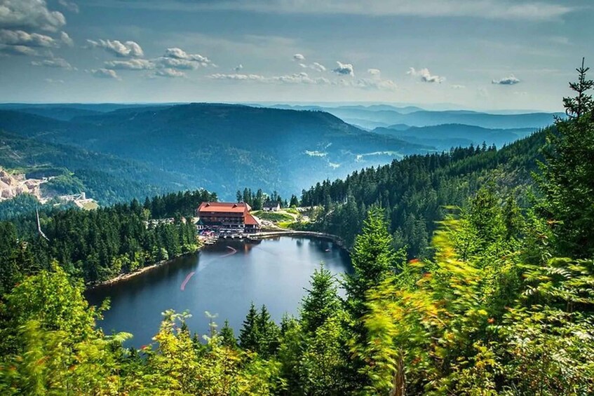 A lake surrounded by dense forest and mountains in the background. 1