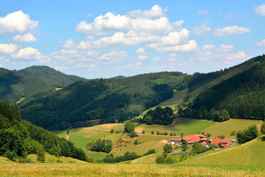 A valley with rolling hills, a small village with red-roofed houses, and dense forested mountains under a partly cloudy sky. 5