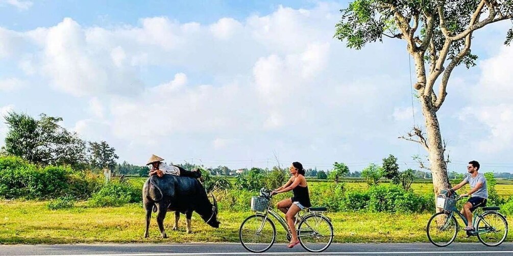 A rural scene with a person riding a bicycle, a cow, and another person on a bicycle. 1