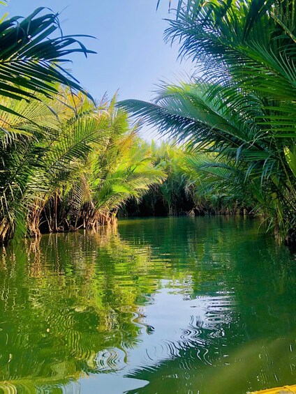 A tranquil waterway flanked by lush green palm trees under a clear blue sky. 3