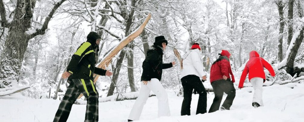 Picture 1 for Activity Bariloche: Frozen Lake Hike and Lunch 5