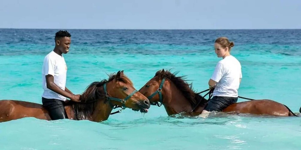 Two people leading horses through shallow turquoise water near the ocean. 5