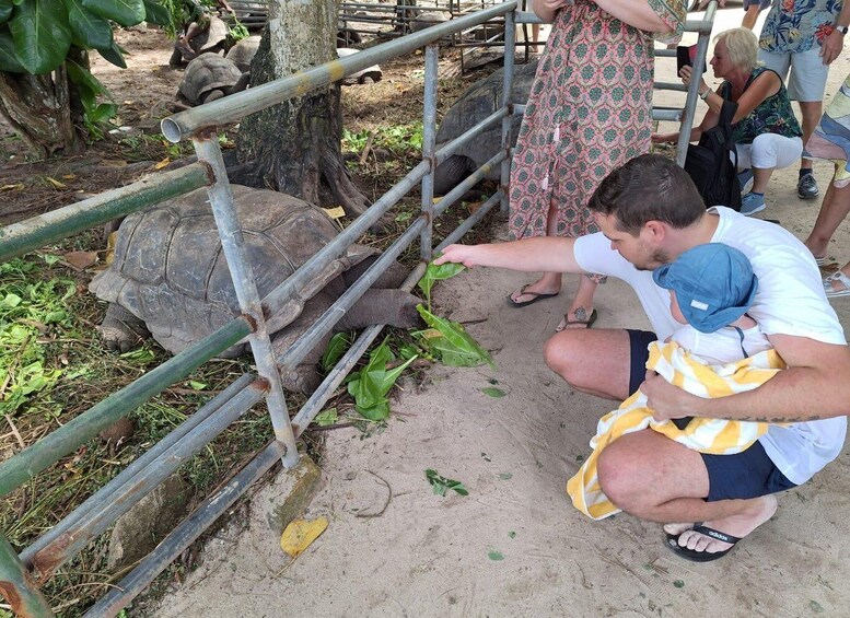 A man petting a tortoise near a metal fence. 1
