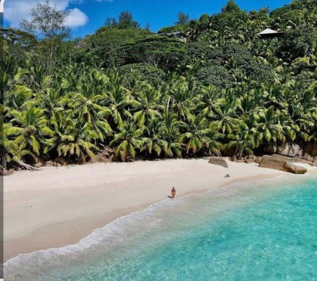 A beach with clear turquoise water, white sand, and dense green palm trees. 5