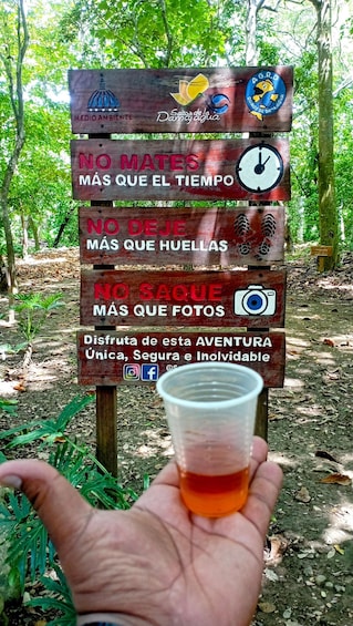 Picture 8 for Activity Amber Cove - Taino Bay 5 Zip Lines 7 Water Falls + Lunch To 3