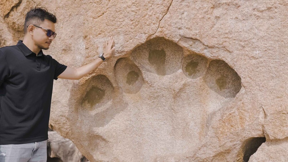 Una persona che tocca una roccia con impronte di animali. 5