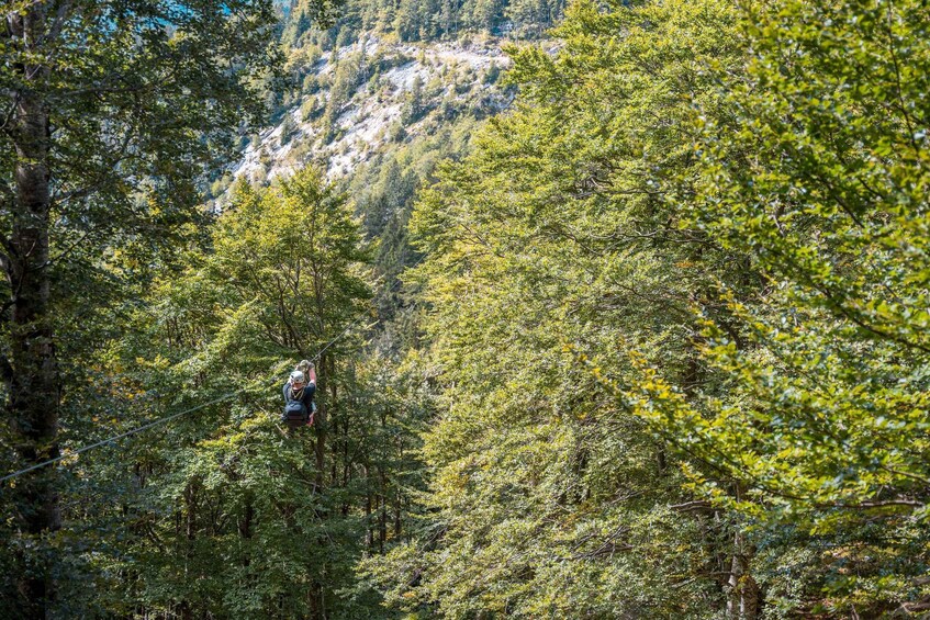 A person zip-lining through a dense forest with a mountainous backdrop. 4