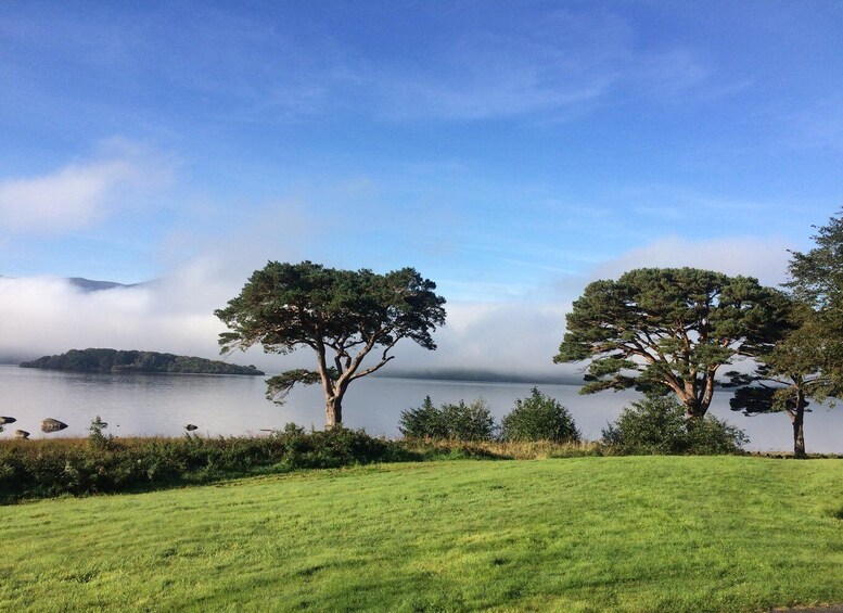 A grassy field with two large trees and a calm lake with a misty island in the background. 1