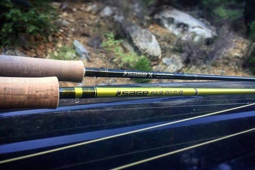 Private Full Day Fly Fishing For Beginners and Experienced Anglers 1