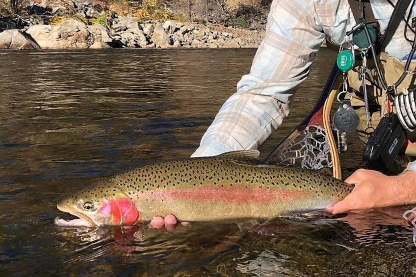 Private Full Day Fly Fishing For Beginners and Experienced Anglers 2