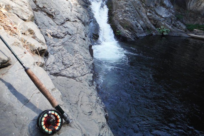 Private Full Day Fly Fishing For Beginners and Experienced Anglers 4