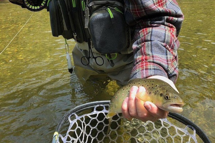 Private Full Day Fly Fishing For Beginners and Experienced Anglers 3