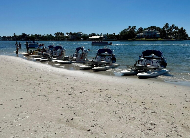 Picture 1 for Activity Sarasota: Island Adventures & Catamaran Speedboat Tour 2