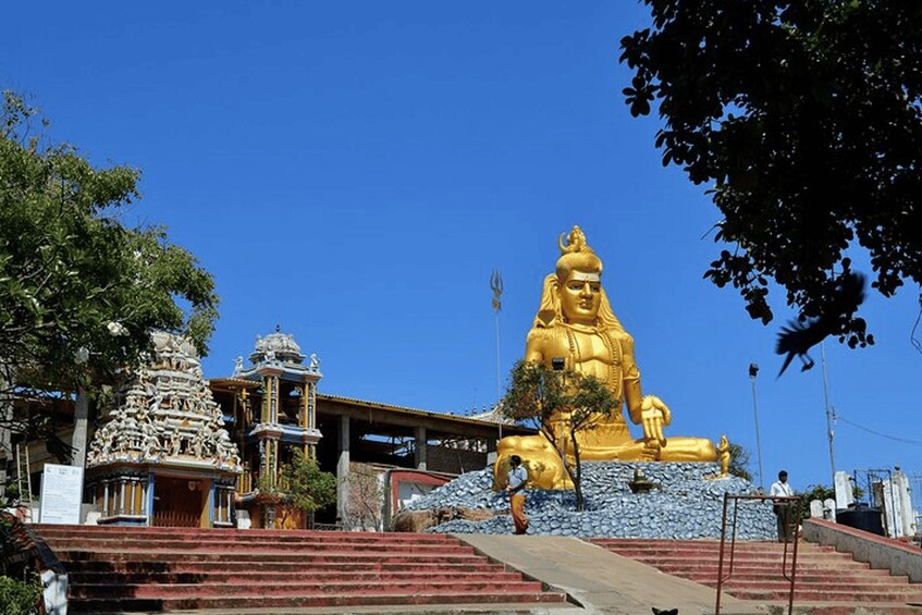 All inclusive Day Tour to Trincomalee from Sigiriya 3